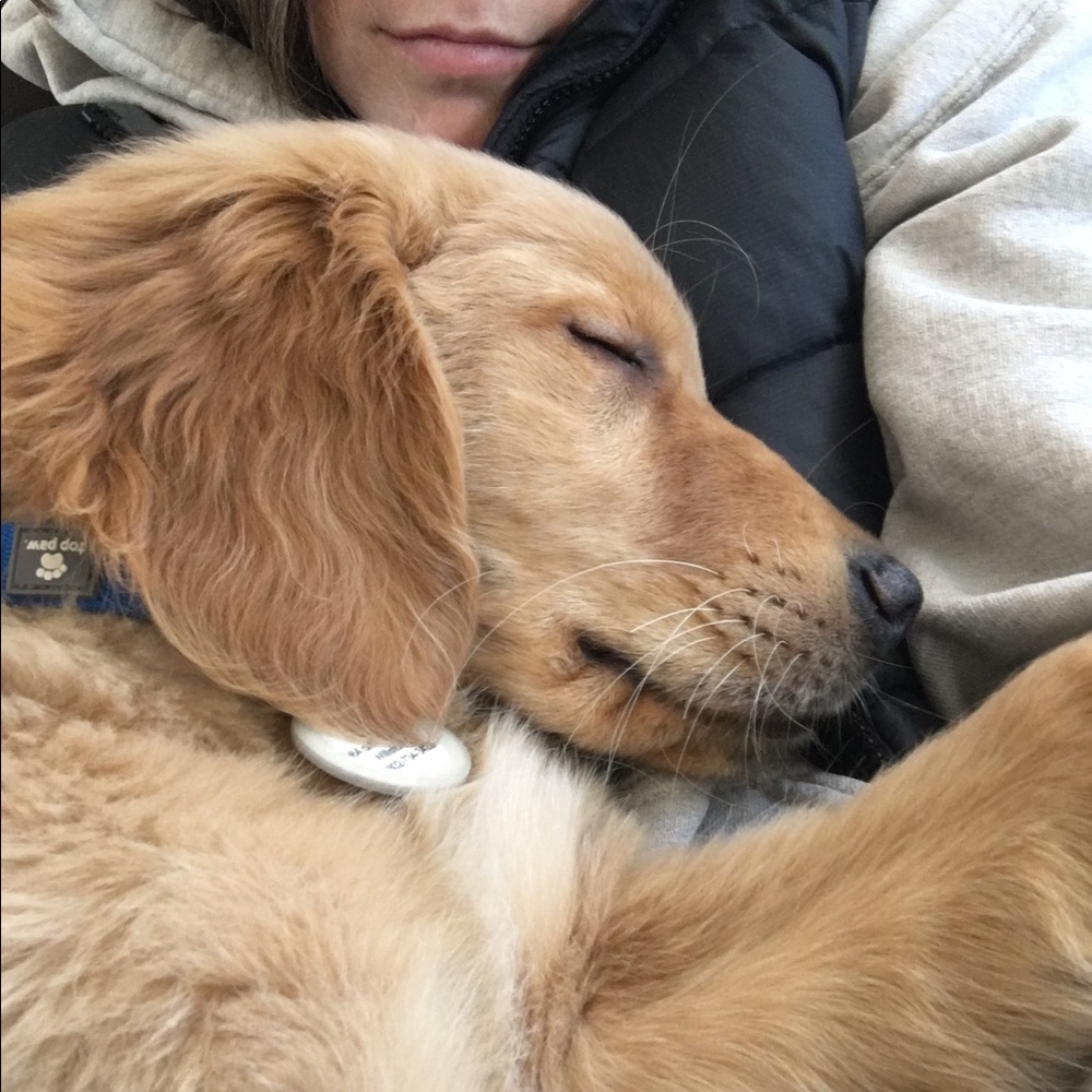 Meet your Posher, Amy